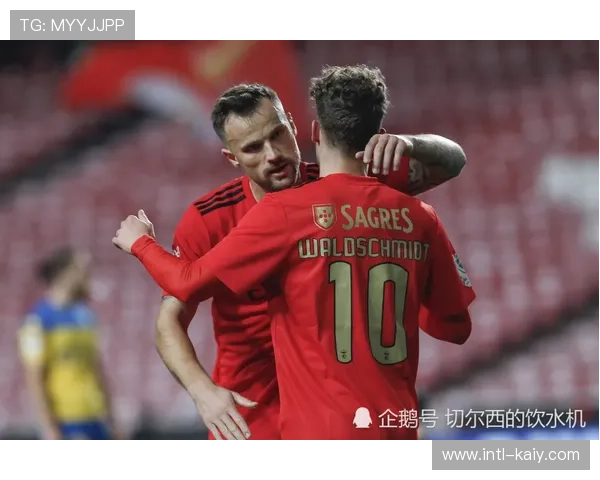 本菲卡2-3不敌卡拉巴赫,爆出欧冠一大冷门 本菲卡2-3不敌卡拉巴赫,爆出欧冠一大冷门